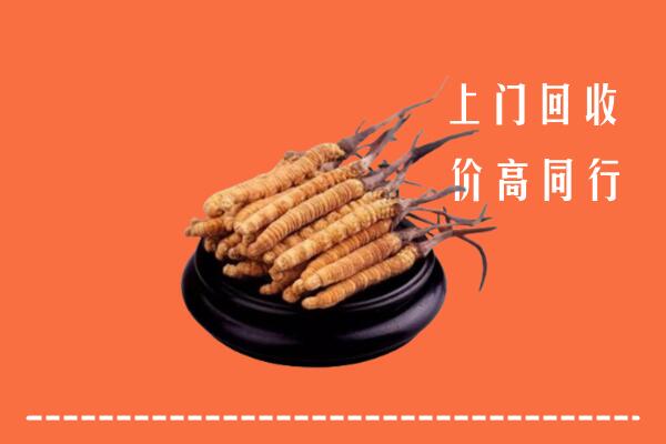 高价求购：无棣县回收散虫草